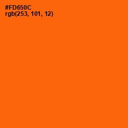 #FD650C - Blaze Orange Color Image