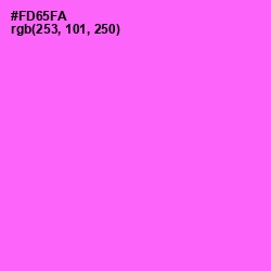 #FD65FA - Pink Flamingo Color Image