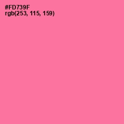 #FD739F - Deep Blush Color Image