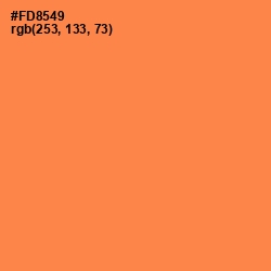 #FD8549 - Tan Hide Color Image