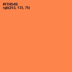 #FD854B - Tan Hide Color Image