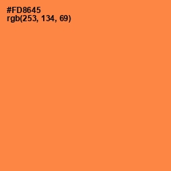 #FD8645 - Tan Hide Color Image