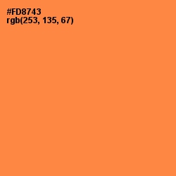 #FD8743 - Tan Hide Color Image