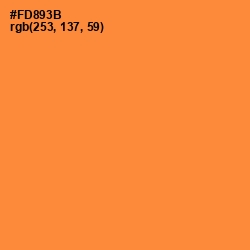 #FD893B - Jaffa Color Image