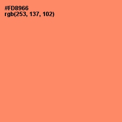 #FD8966 - Salmon Color Image