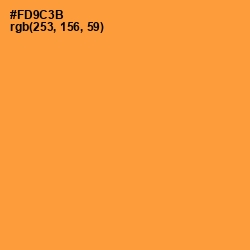 #FD9C3B - Neon Carrot Color Image