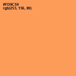 #FD9C59 - Tan Hide Color Image