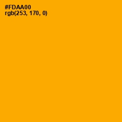 #FDAA00 - Yellow Sea Color Image