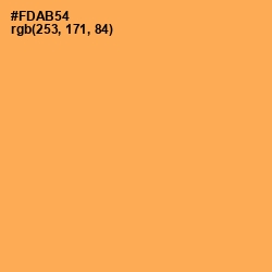 #FDAB54 - Texas Rose Color Image