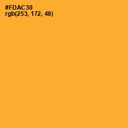 #FDAC30 - Sea Buckthorn Color Image