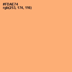 #FDAE74 - Macaroni and Cheese Color Image
