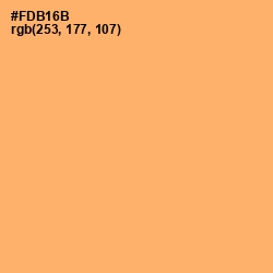 #FDB16B - Rajah Color Image