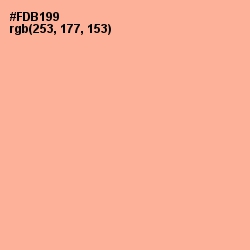 #FDB199 - Mona Lisa Color Image