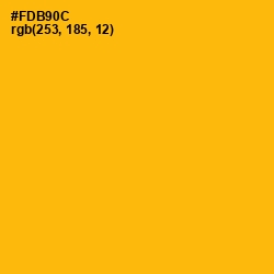#FDB90C - Selective Yellow Color Image