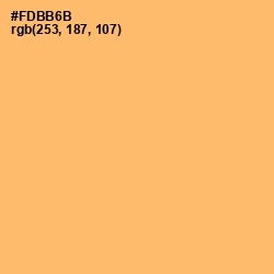 #FDBB6B - Rajah Color Image