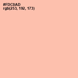 #FDC0AD - Wax Flower Color Image