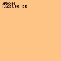 #FDC486 - Chardonnay Color Image