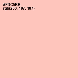 #FDC5BB - Apricot Peach Color Image