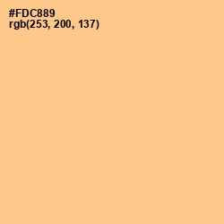 #FDC889 - Chardonnay Color Image