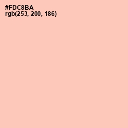 #FDC8BA - Apricot Peach Color Image