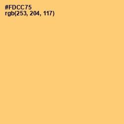 #FDCC75 - Goldenrod Color Image