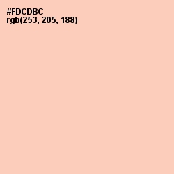 #FDCDBC - Apricot Peach Color Image