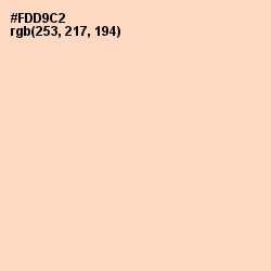 #FDD9C2 - Tuft Bush Color Image