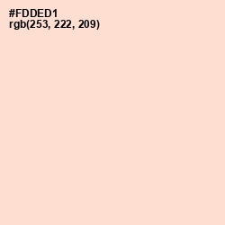 #FDDED1 - Peach Schnapps Color Image