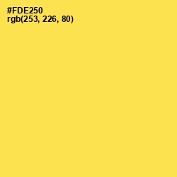 #FDE250 - Candy Corn Color Image