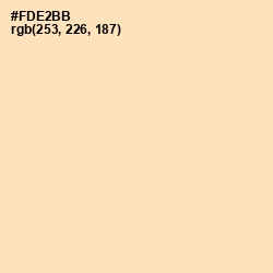 #FDE2BB - Dairy Cream Color Image