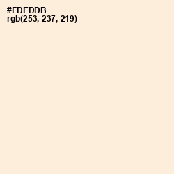 #FDEDDB - Derby Color Image