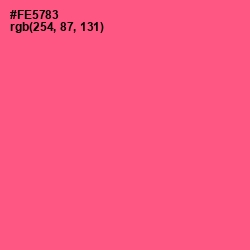 #FE5783 - French Rose Color Image
