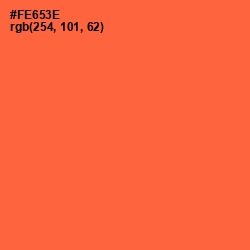 #FE653E - Outrageous Orange Color Image