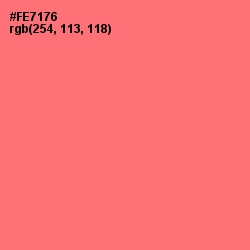 #FE7176 - Brink Pink Color Image