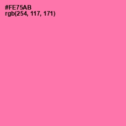#FE75AB - Hot Pink Color Image