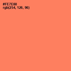 #FE7E60 - Sunglo Color Image