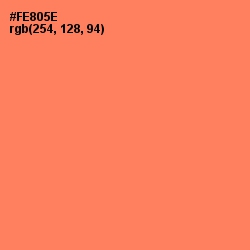 #FE805E - Tan Hide Color Image