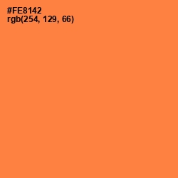 #FE8142 - Tan Hide Color Image