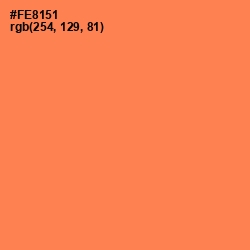 #FE8151 - Tan Hide Color Image
