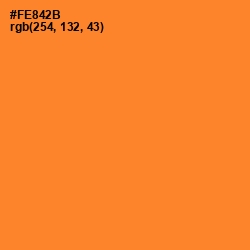#FE842B - Neon Carrot Color Image