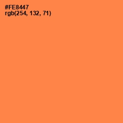 #FE8447 - Tan Hide Color Image