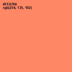 #FE8766 - Salmon Color Image