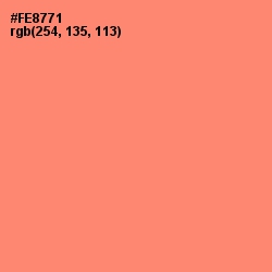 #FE8771 - Salmon Color Image