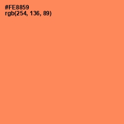 #FE8859 - Tan Hide Color Image