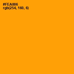 #FEA006 - Orange Peel Color Image