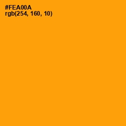 #FEA00A - Orange Peel Color Image