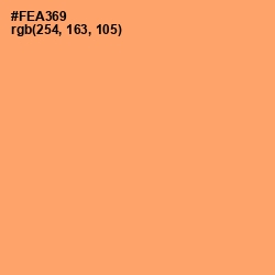 #FEA369 - Sandy brown Color Image