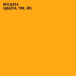#FEA914 - Sun Color Image