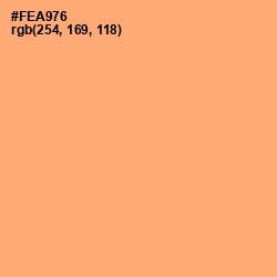 #FEA976 - Macaroni and Cheese Color Image