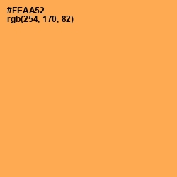 #FEAA52 - Texas Rose Color Image
